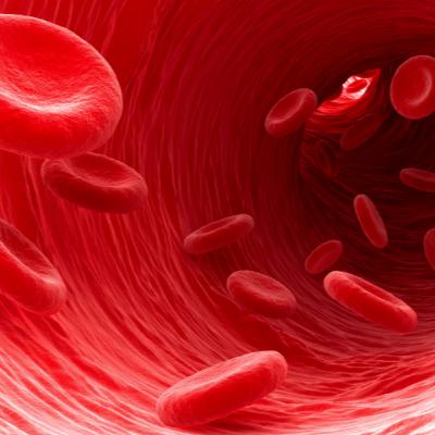 33. rész: A vér 33. rész: A vér