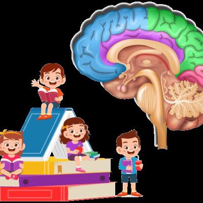 Neuroeducacion y políticas educativas