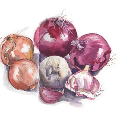 Episode 64: Jeff And The Onions Episode 64: Jeff And The Onions