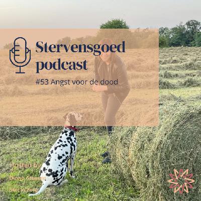 #48 De toekomst voor stervensbegeleiders