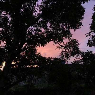 Revoltada com a minha família? Revoltada com a minha família?