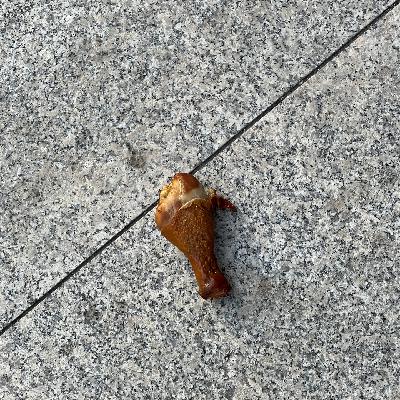 寥聊 #128 有的怪