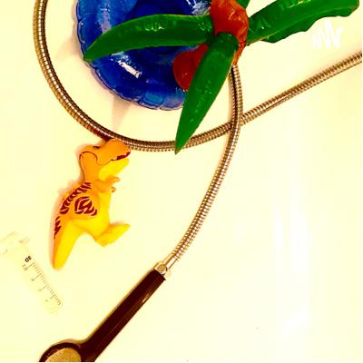 Vilket djur vill äiti tämja?