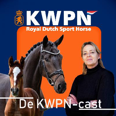 Piet Peters, Veulenregistratie en meer