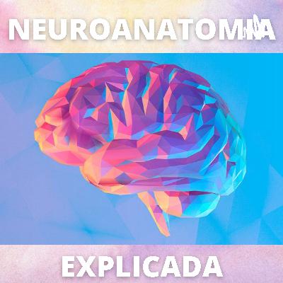 Tronco Encefálico (mesencéfalo)