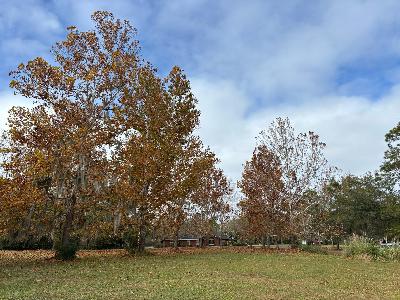 What To Do With a Season-Spirit Mismatch