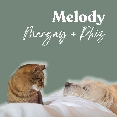 Meant to Meet: A Story of Soul Pets & Donor Siblings Meant to Meet: A Story of Soul Pets & Donor Siblings