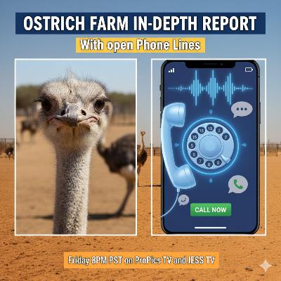 Ostrich Farm Report With Open Phone Lines Friday at 8PM PST Ostrich Farm Report With Open Phone Lines Friday at 8PM PST