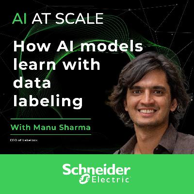 Manu Sharma: How AI models learn with data labeling