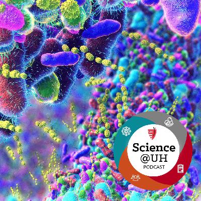 Uncovering the Mycobiome: Fungi, Gut Health, and Disease