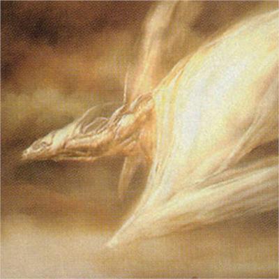 Episode 23: Eternal Weekend Hype (Brendan, Brad, Mike) Episode 23: Eternal Weekend Hype (Brendan, Brad, Mike)