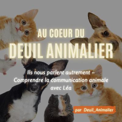 Épisode #7: Ils nous parlent autrement – Comprendre la communication animale avec Léa