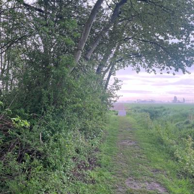 Strompelend & imperfect volgen Strompelend & imperfect volgen