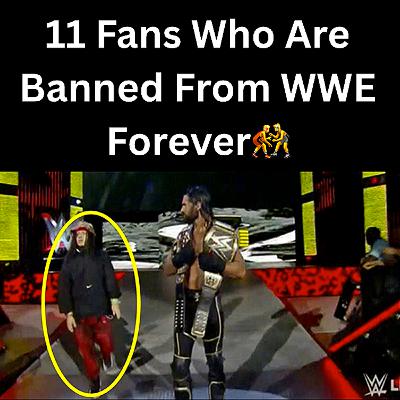 11 Fans Who Are Banned From WWE Forever 🤼