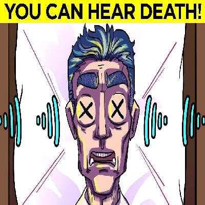 Facts That Will Make You Say “I Had No Idea” Facts That Will Make You Say “I Had No Idea”