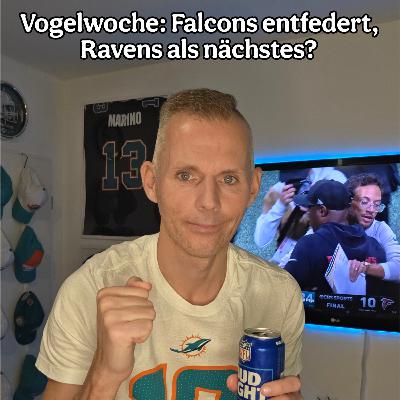 Vogelwoche: Falcons entfedert, Ravens als nächstes? Vogelwoche: Falcons entfedert, Ravens als nächstes?
