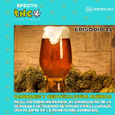 Cannabis y cerveza: pura química