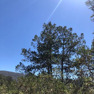 Contacto con el Interno #Meditación #MagnaPresencia #Espíritu