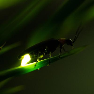 La magia de la luz crepuscular