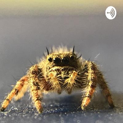 Arachnophobia and Entomophobia! Arachnophobia and Entomophobia!