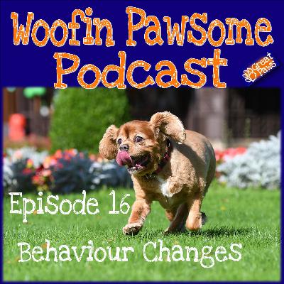 Behaviour Changes - Episode 16 Behaviour Changes - Episode 16