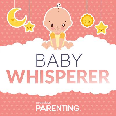 Introducing The Baby Whisperer Introducing The Baby Whisperer