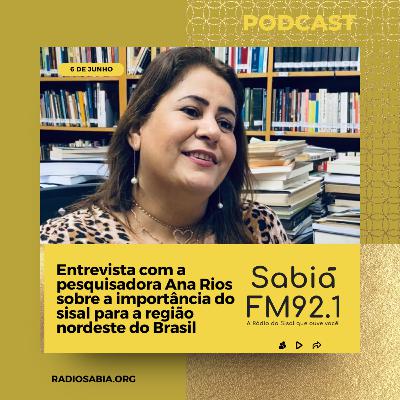 Entrevista com a pesquisadora Ana Rios sobre a importância do sisal para a região nordeste do Brasil
