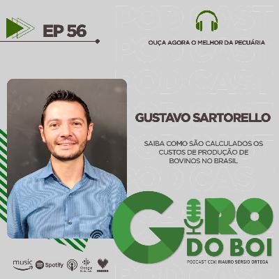 Saiba como são calculados os custos de produção de bovinos no Brasil?