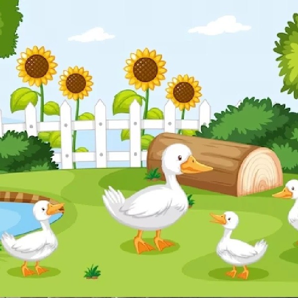 Children's story: Ducklings walking in the forest ಮಕ್ಕಳ ಕಥೆ : ಬಾತ್ಕೋಳಿ ಮರಿಗಳ ಕಾಡಿನ ವಾಕಿಂಗ್ Children's story: Ducklings walking in the forest ಮಕ್ಕಳ ಕಥೆ : ಬಾತ್ಕೋಳಿ ಮರಿಗಳ ಕಾಡಿನ ವಾಕಿಂಗ್