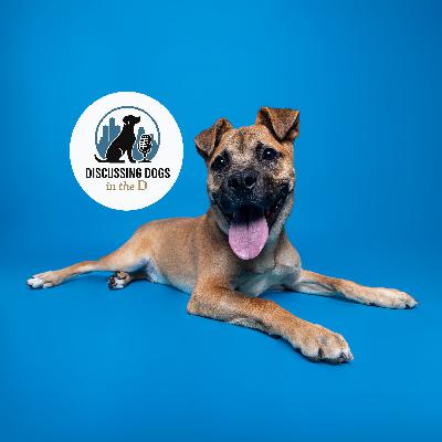 Michelle Mullen - Michigan Animal Welfare Foundation (MiAWF)