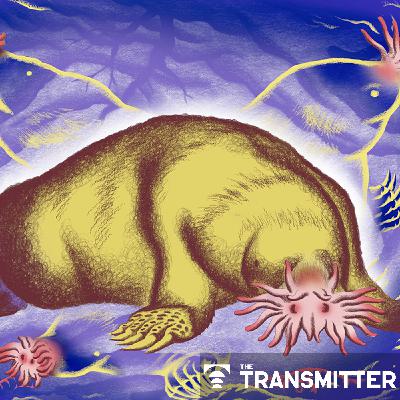 Neuro's ark: Understanding fast foraging with star-nosed moles
