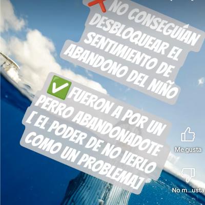 Conflicto problema
¿solución conflicto? Sí 
NO se puede negar que