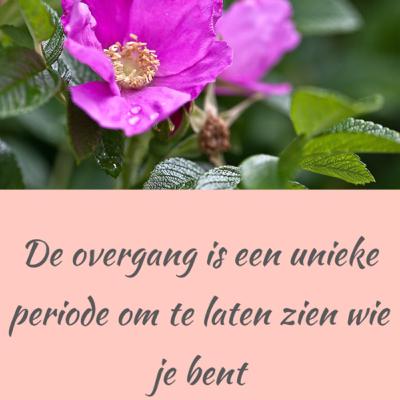 De overgang, de eerste symptomen