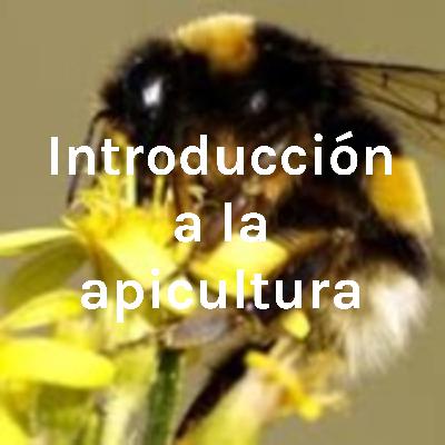 Introducción a la Apicultura