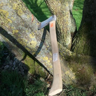 JUAN DEL MONTE (Chamame) JUAN DEL MONTE (Chamame)