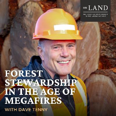 Forest stewardship in the age of megafires with Dave Tenny