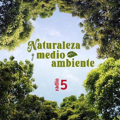 Naturaleza y medio ambiente - Refinerías Balboa - 31/07/12