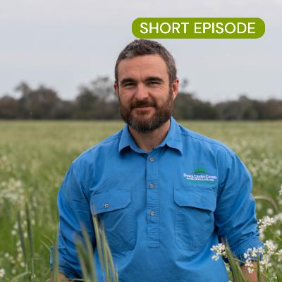 SHORT: From problem paddocks to healthy soils, multispecies with Grant Sims SHORT: From problem paddocks to healthy soils, multispecies with Grant Sims
