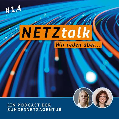 Glasfaser-Pionier Schleswig-Holstein