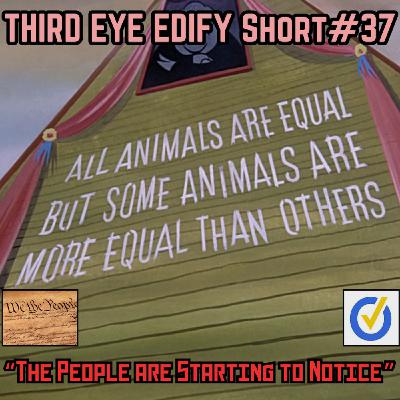 THIRD EYE EDIFY Short#37 "The People are Starting to Notice"