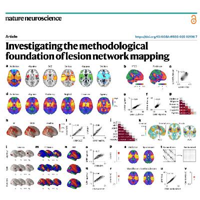611-Methodological Limitations in Lesion Network Mapping