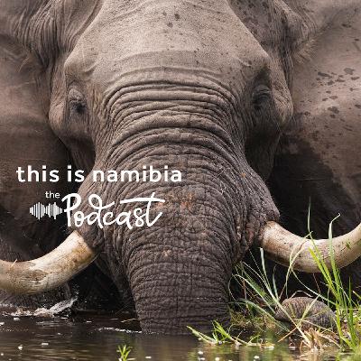 Namibia's Wettest Wonderland