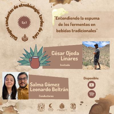 EP. 01: ENTENDIENDO LA ESPUMA DE LOS FERMENTOS EN LAS BEBIDAS TRADICIONALES CON CÉSAR OJEDA