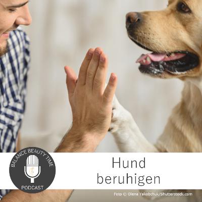 Hund beruhigen: Experten-Podcast mit Stefanie Krukemeyer Hund beruhigen: Experten-Podcast mit Stefanie Krukemeyer