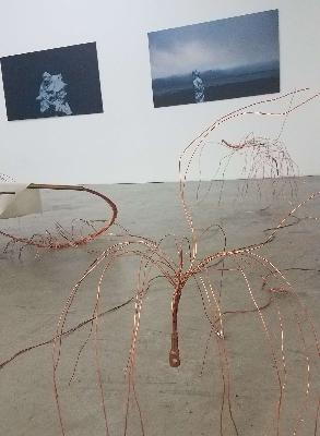 Star(s) Speak - ein Moment in einer Ausstellung