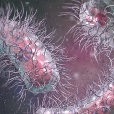 11: Rising Threat of NDM-CRE: CDC Epidemiologist Highlights Urgent Infection Prevention Priorities