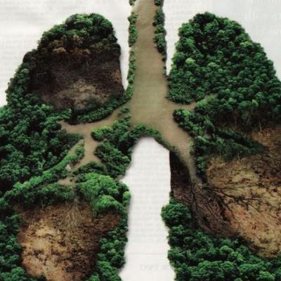 Meditación para respiración consciente