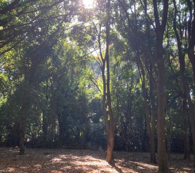 2028.11/14 ひとつの言葉 from Radiotalk