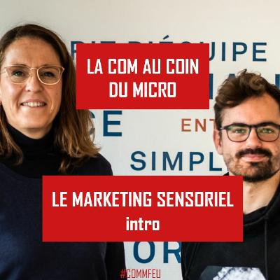 Le Marketing Sensoriel - Intro - LCACDM - XXII