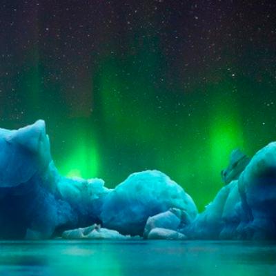 Programa tus sueños. Programa tus sueños.